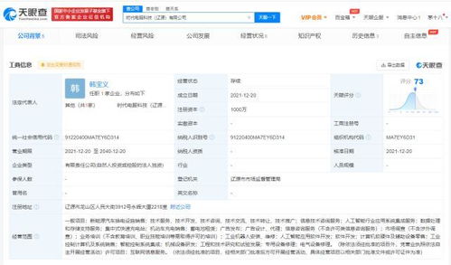 數(shù)據(jù)處理及存儲服務 數(shù)字化時代的基石與引擎