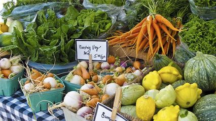 農產品零售與批發 知名企業的市場策略與行業影響